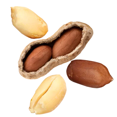 Arašidy
